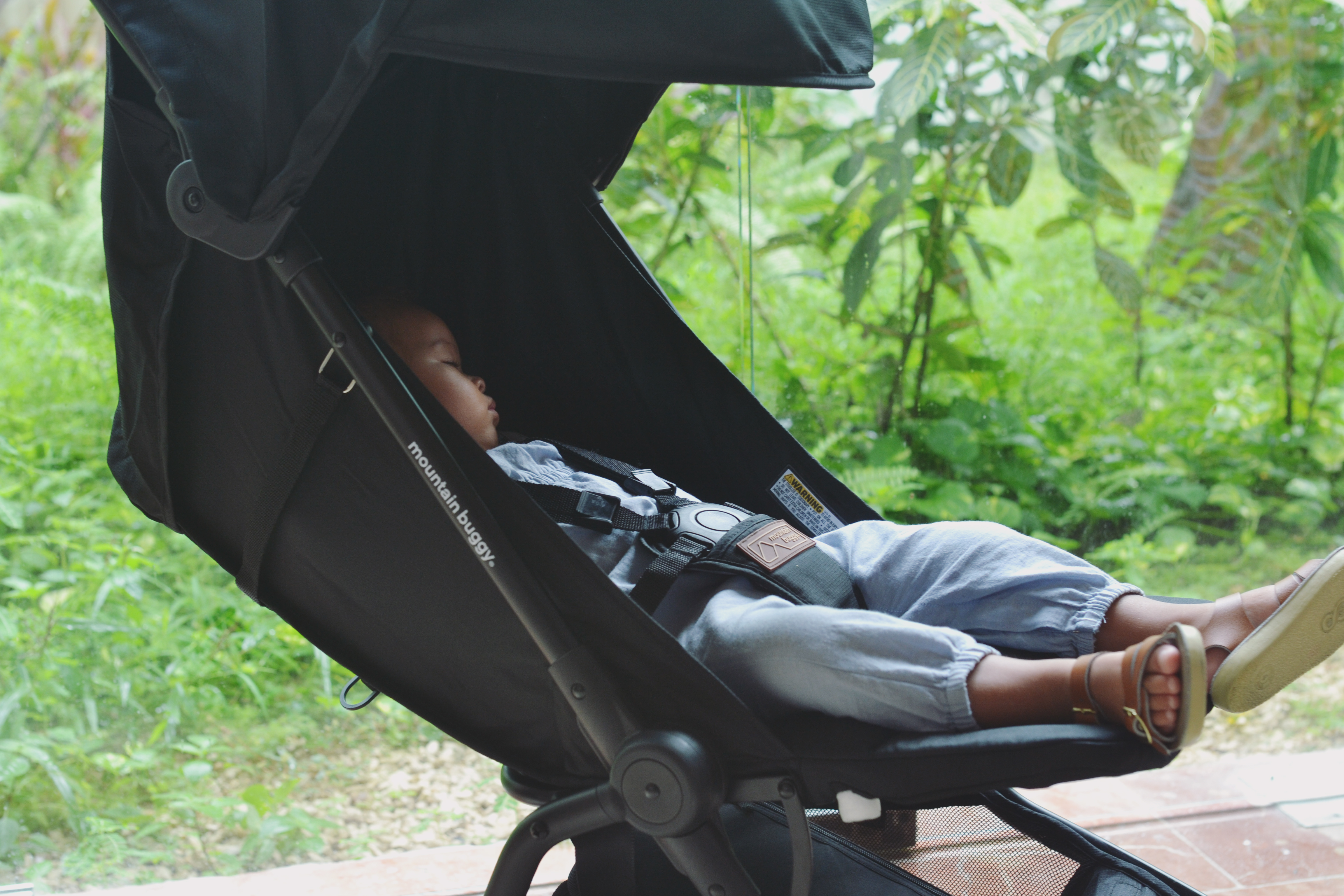 mountain buggy harness